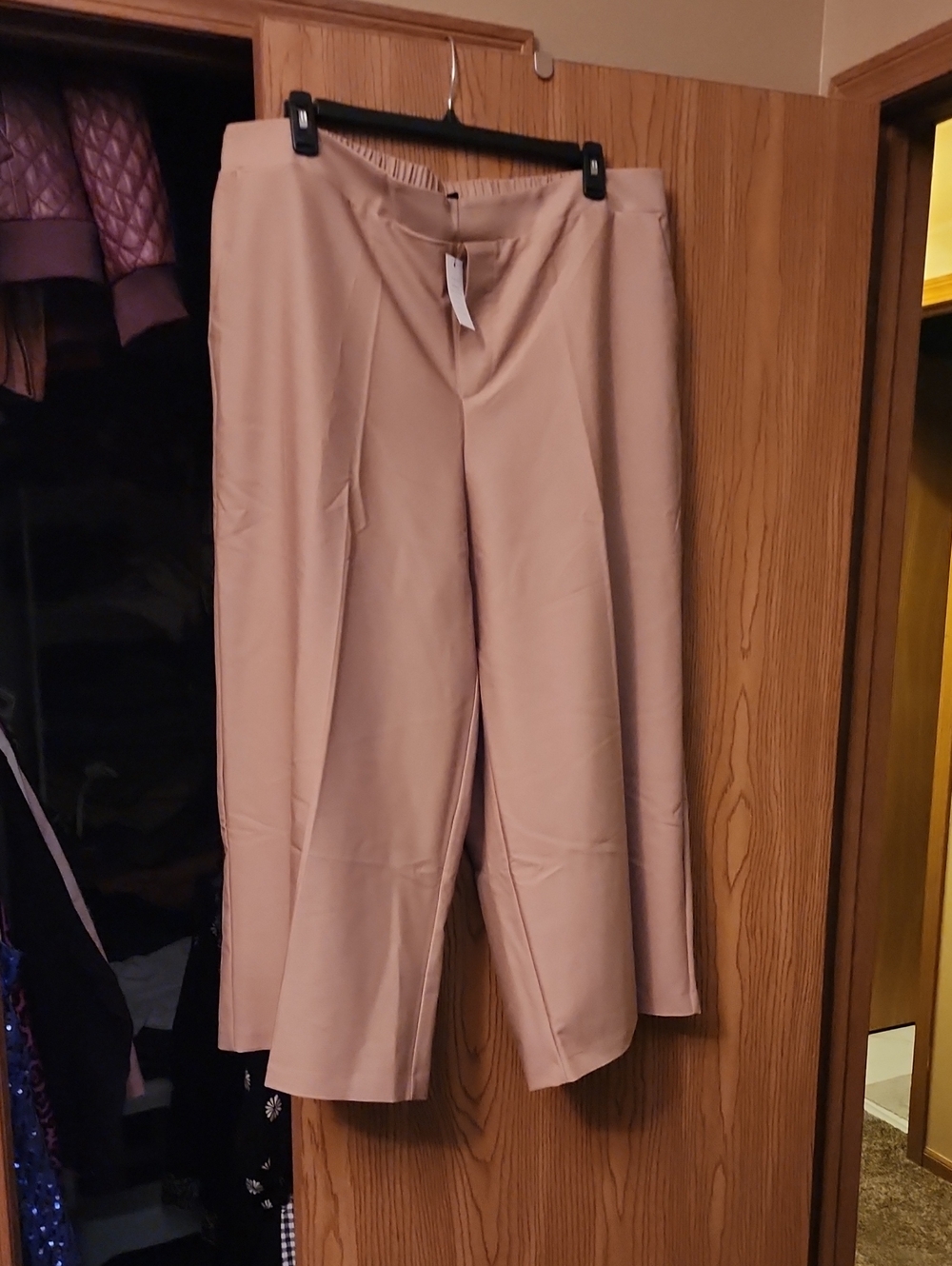 Element Wide-Leg Pants in Light Tan